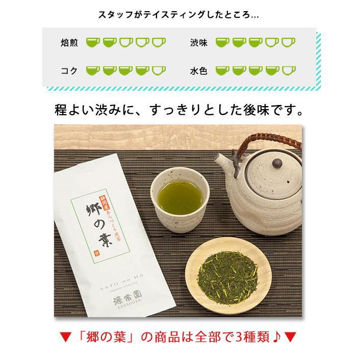 お茶の葉 緑茶 静岡茶 茶葉 煎茶 業務用 静岡産 あらづくり煎茶 郷の葉 100g×10本【水出し緑茶も作れる】 | 源宗園 | 05