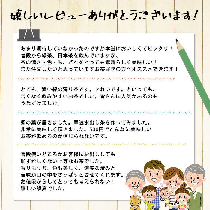 お茶の葉 煎茶 緑茶 静岡茶 静岡産 あらづくり煎茶 郷の葉 3本入り【水出し緑茶も作れる】[M便 1/4] | 源宗園 | 04