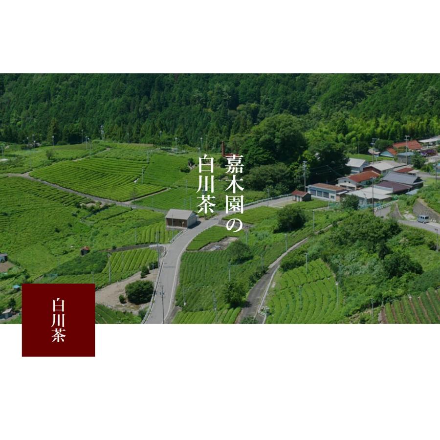 お茶 緑茶 茶葉 五感で楽しむ茶 飲み比べ4袋セット（濃・香・彩・甘） 各100g 【メール便送料無料】[M便 1/4]☆ |  | 03