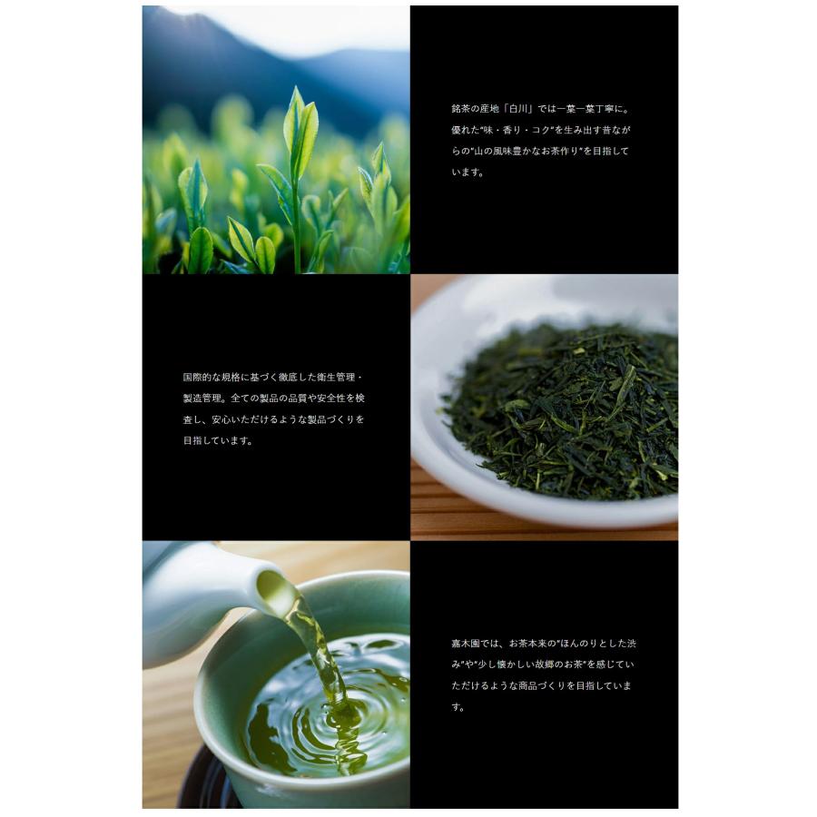 お茶 緑茶 茶葉 「東海銘茶」と「五感で楽しむ茶 甘」飲み比べ 2袋セット 各100g 【メール便送料無料】[M便 1/3]☆ |  | 05