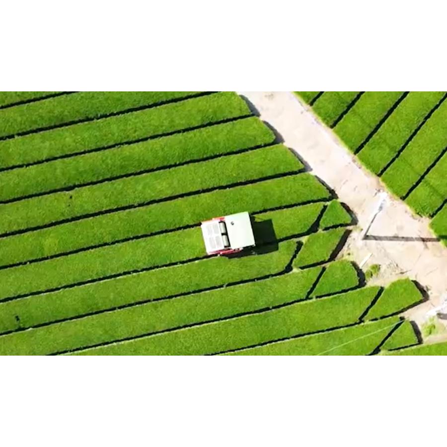 八女茶 知覧茶 嬉野茶(うれしの茶) お茶 緑茶 茶葉 小野園のお茶 飲み比べ3袋セット 各90g【同梱不可商品】【メール便送料無料】[M便 1/1] |  | 03