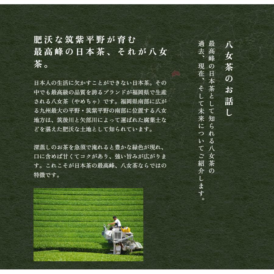 八女茶 知覧茶 嬉野茶(うれしの茶) お茶 緑茶 茶葉 小野園のお茶 飲み比べ3袋セット 各90g【同梱不可商品】【メール便送料無料】[M便 1/1] |  | 04