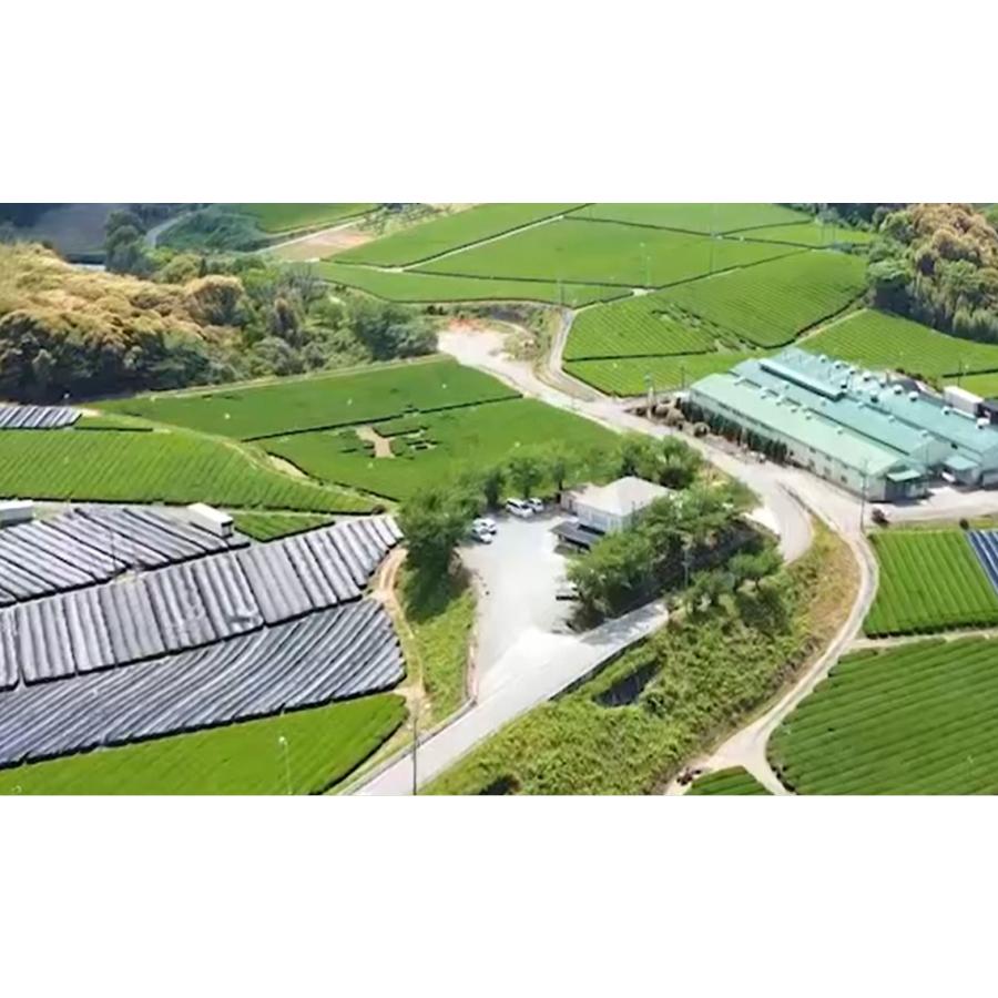 八女茶 知覧茶 嬉野茶(うれしの茶) お茶 緑茶 茶葉 小野園のお茶 飲み比べ3袋セット 各90g【同梱不可商品】【メール便送料無料】[M便 1/1] |  | 07