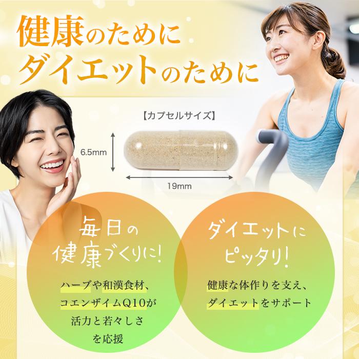 銀座まるかん まとめ買いクーポン配布中 ハイスピード毎日パワー