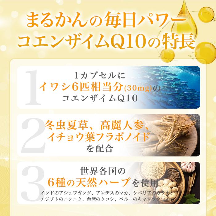 銀座まるかん まとめ買いクーポン配布中 ハイスピード毎日パワー