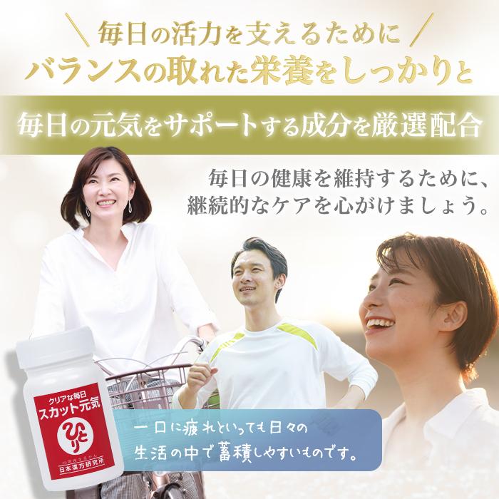【まとめ買いクーポン配布中】銀座まるかん クリアな毎日 スカット元気 90粒 栄養補助食品 健康食品 サプリ Lカルニチン コエンザイムQ10 クロレラ ウコン_1