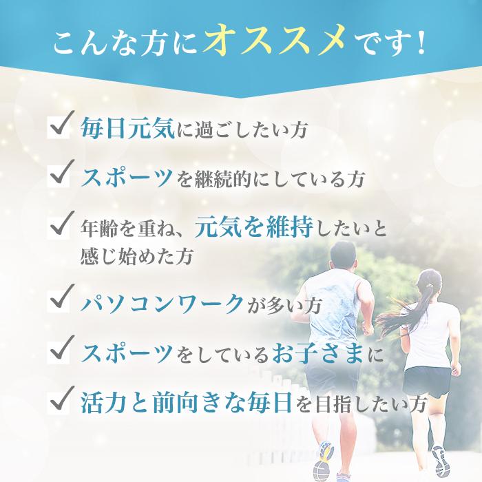 【まとめ買いクーポン配布中】銀座まるかん クリアな毎日 スカット元気 90粒 栄養補助食品 健康食品 サプリ Lカルニチン コエンザイムQ10 クロレラ ウコン_2