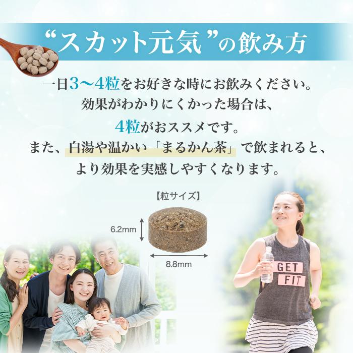 【まとめ買いクーポン配布中】銀座まるかん クリアな毎日 スカット元気 90粒 栄養補助食品 健康食品 サプリ Lカルニチン コエンザイムQ10 クロレラ ウコン_5
