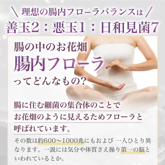 【まとめ買いクーポン配布中】銀座まるかん ドラゴンパワー 善玉王国 124粒 栄養補助食品 健康食品 サプリ サプリメント 乳酸菌 善玉菌 BB3600 腸内環境 おなか_4