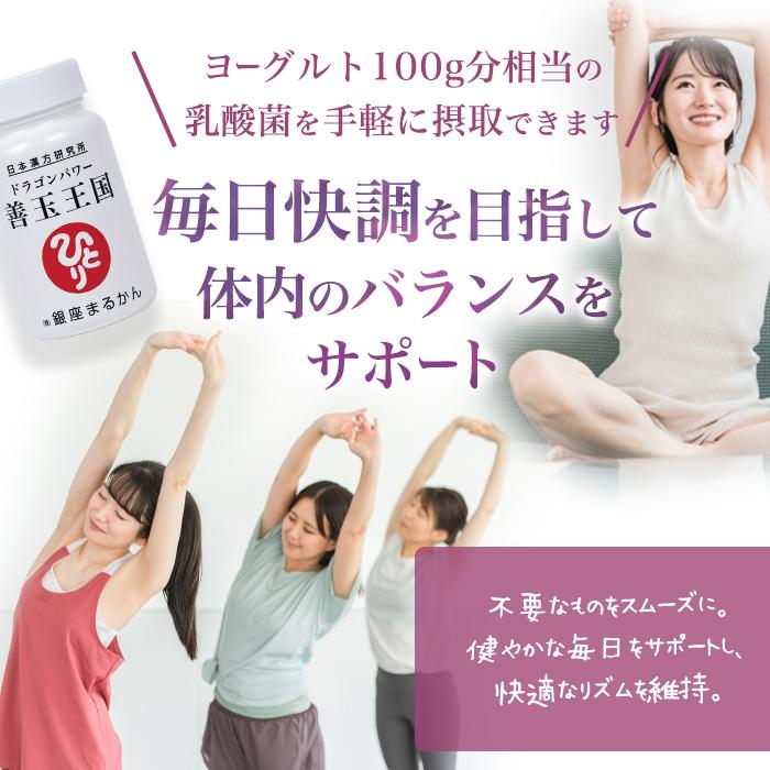 善玉王国★送料無料★銀座まるかん 銀座まるかん 【まとめ買いクーポン配布中】銀座まるかん ドラゴン