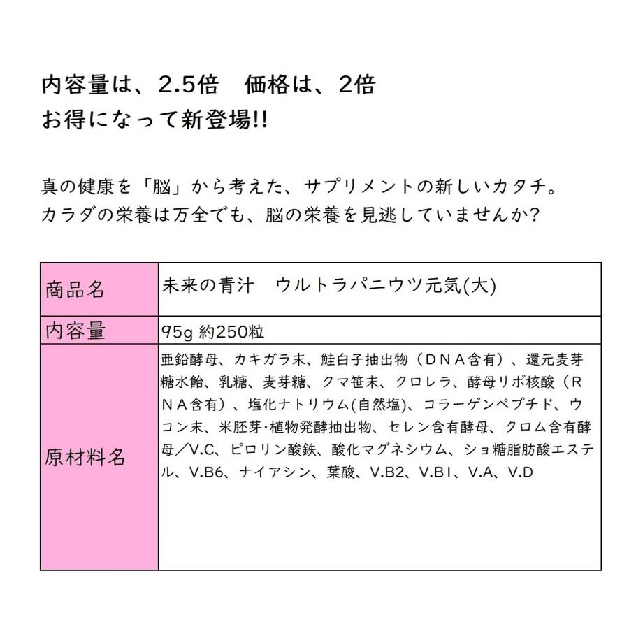 まとめ買いクーポン配布中 銀座まるかん 未来の青汁 ウルトラ パニウツ元気 （大）95g 約250粒｜gentil-shop｜02