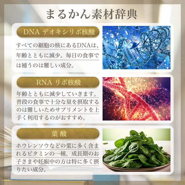 新品未開封【送料無料】ひとりさん 未来の青汁 ウルトラパニウツ元気 3