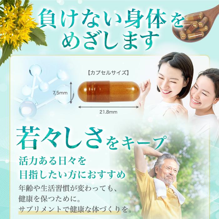 銀座まるかん まとめ買いクーポン配布中 めちゃ若 93粒 2個セット