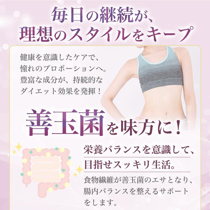銀座まるかん まとめ買いクーポン配布中 ガリガリどろん 5.5g×93包入 2
