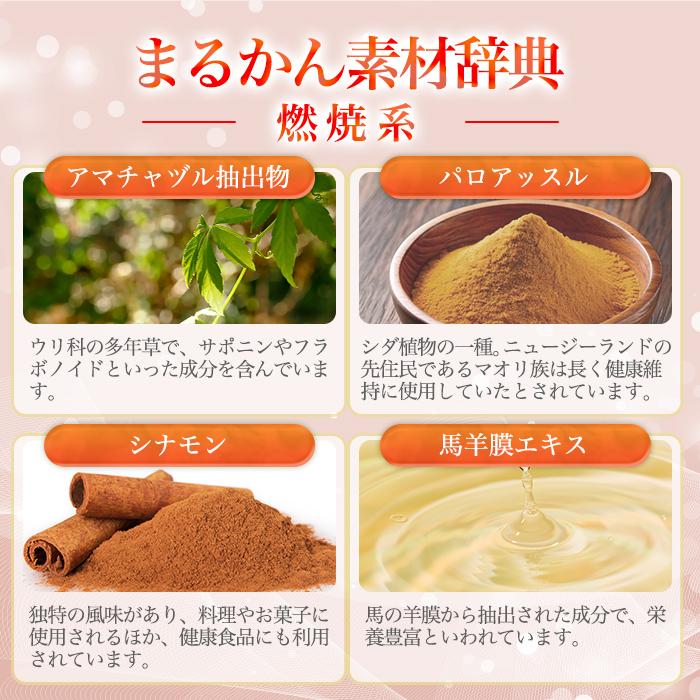 銀座まるかん 【まとめ買いクーポン配布中】リニューアル 新登場 やせ