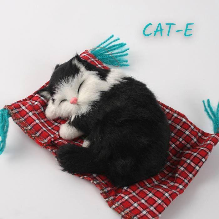 猫 ぬいぐるみ お昼寝 かわいい 座布団 居眠り : ジェントルブリーズ