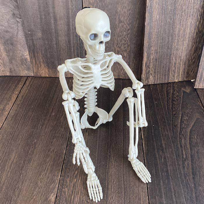 骸骨 ガイコツ フィギュア 36cm おもちゃ どくろ インテリア ホラー