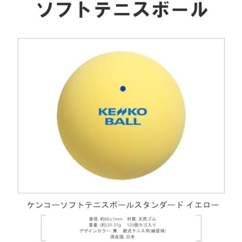 ナガセケンコー(KENKO) ソフトテニスボール かご入りセット 練習球10ダース(120個) TSSYK-V｜gentlemanlyfactory｜05