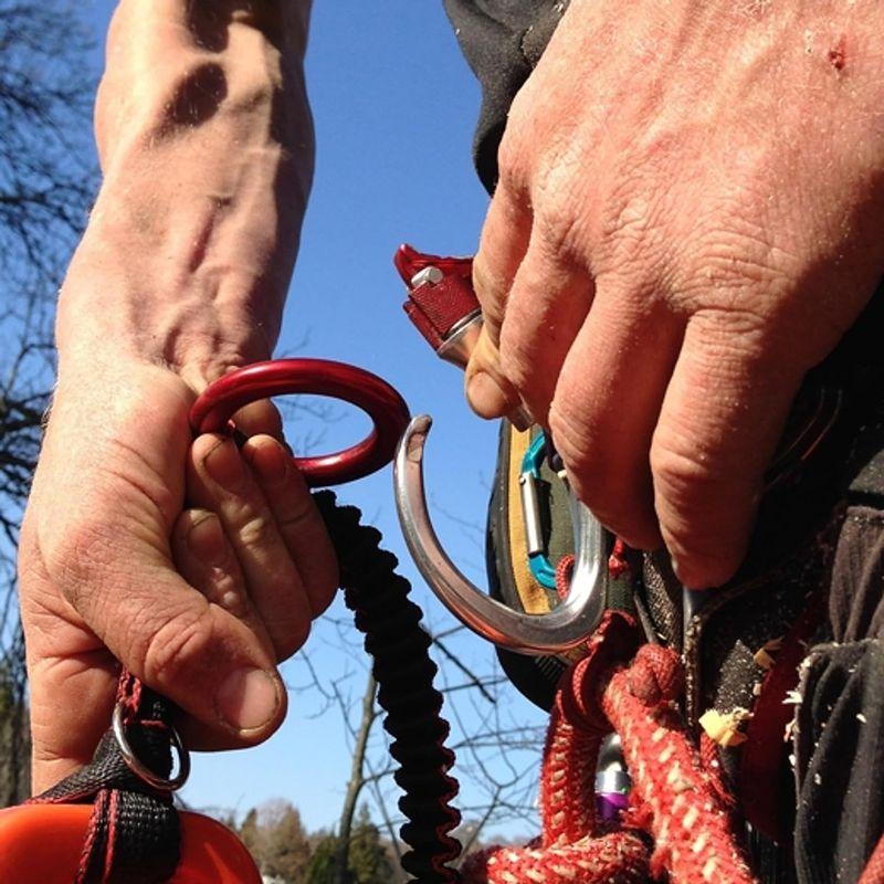 DMM ボールト ロッキングゲート DM0431 ボールト ロッキングゲート DM0431