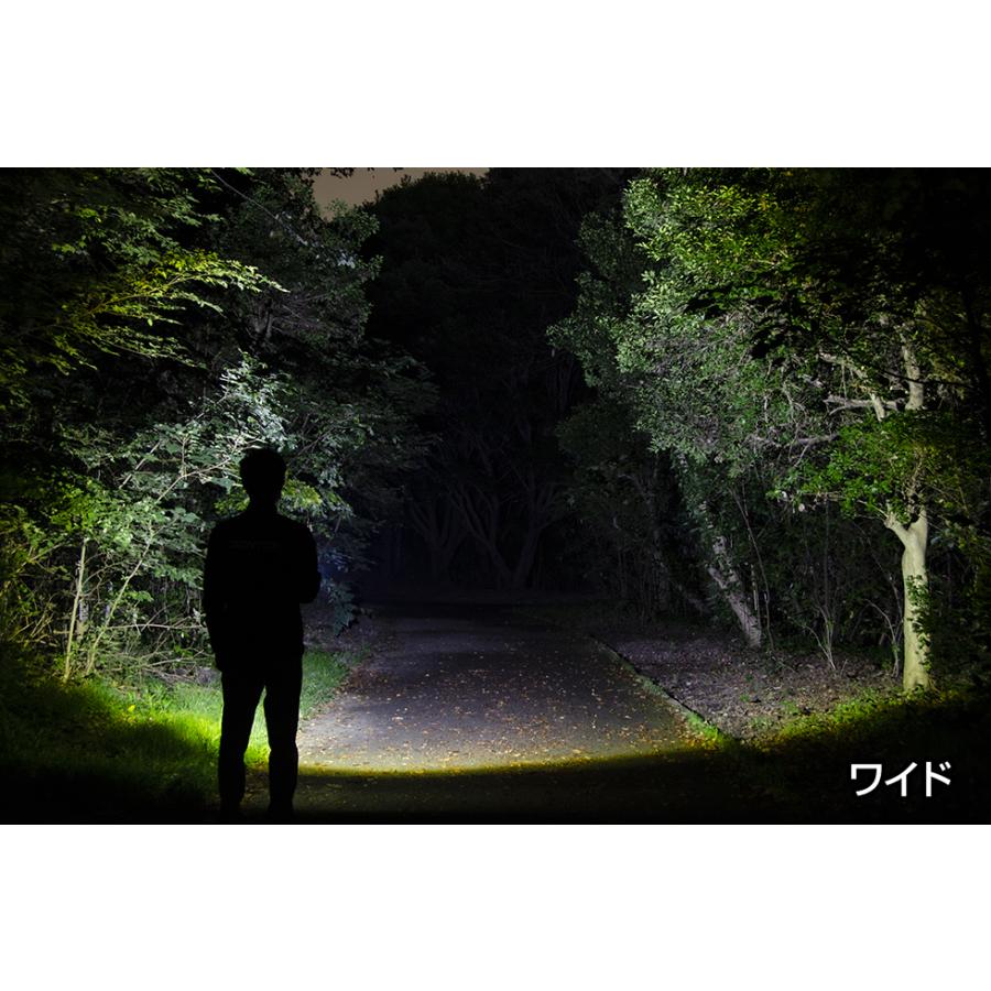 REXEED フラッシュライト 懐中電灯 led GENTOS ジェントス RX-323D
