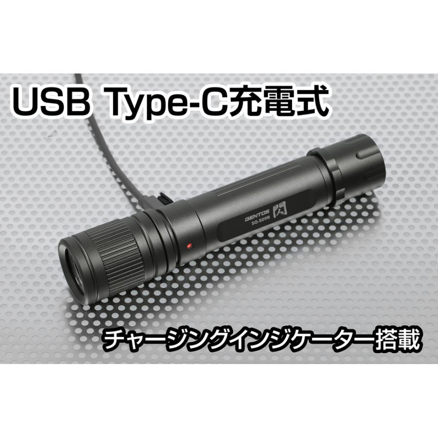 閃 フラッシュライト 懐中電灯 led 充電 充電式 GENTOS ジェントス SG