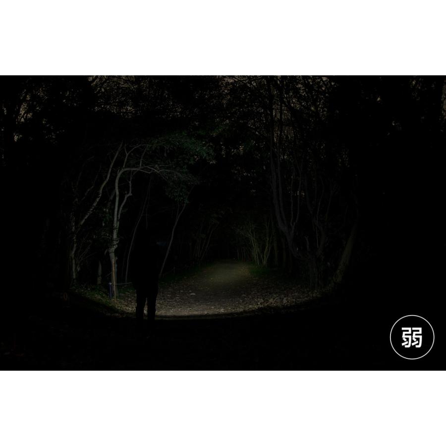 GENTOS GF-216RG LED懐中電灯 GF-216RG - GENTOS