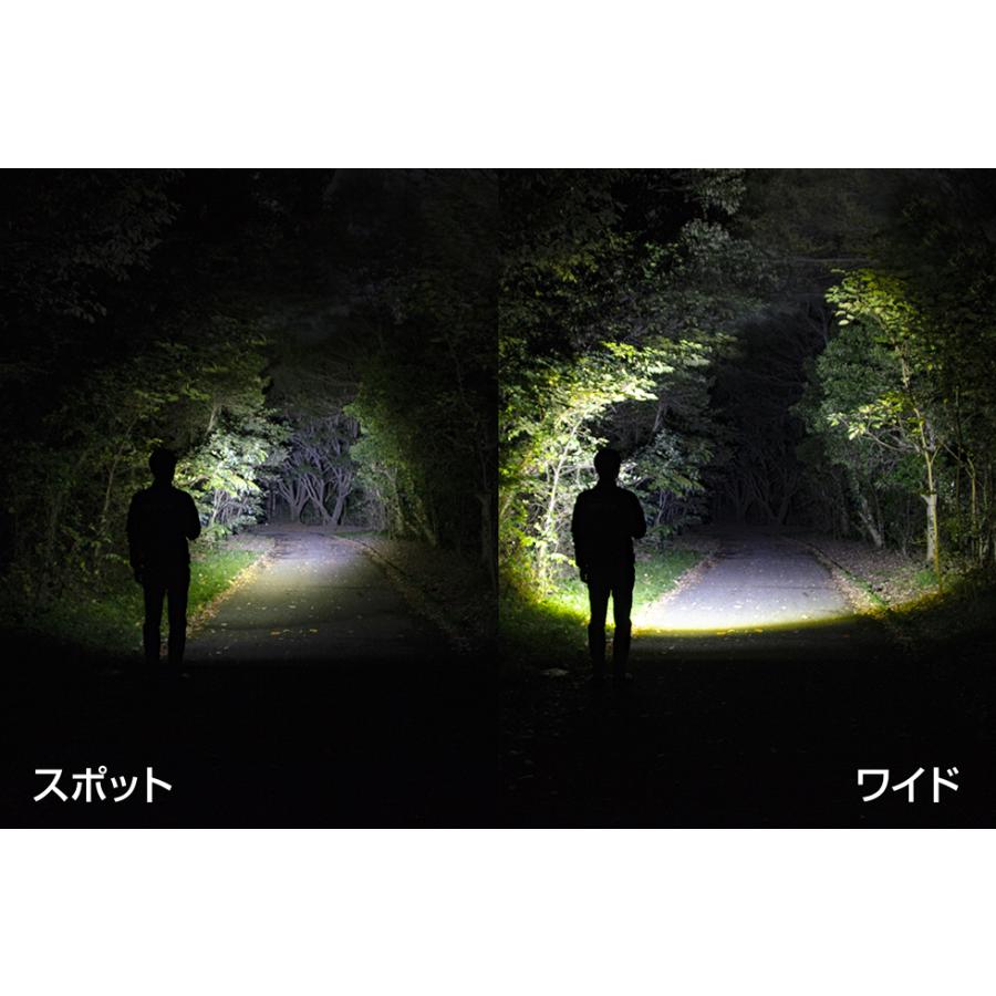 REXEED - 閃光電球ともし火 懐中照明ランプ led 申し受ける 申し受ける式 Type-C申し受ける GENTOS ジェン放り投げる RX-386R