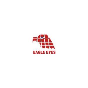 USA発送！2287.2009-2014 FORD F150 ヘッドライト pr NEW   EAGLEEYES製  Bulb Type Halogenの画像