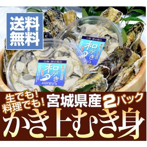 生食用 牡蠣上むき身300g 2パック 宮城県産生かき Ro M2pc 松島 げんぞう 通販 Yahoo ショッピング