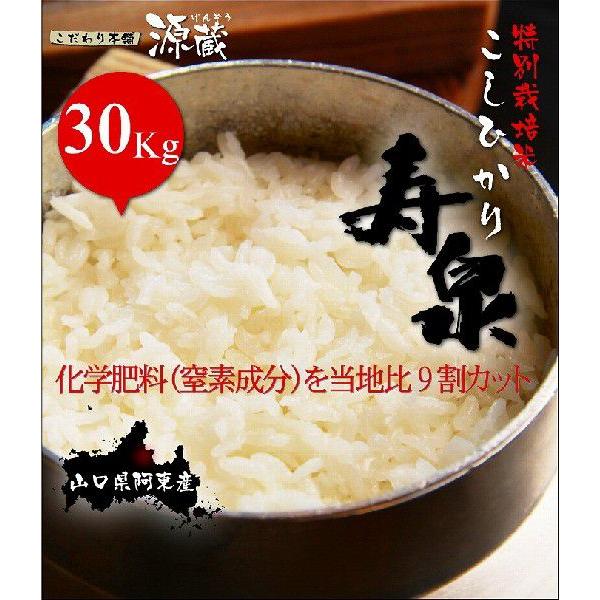 こしひかり【寿泉】令和5年度産 30Kg（10kg ×3）精米「地域限定特別栽培米」「生産者限定米」山口県阿東徳佐米｜genzou