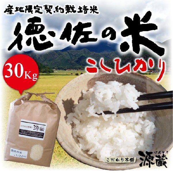 こしひかり【徳佐の米】令和4年度産 30Kg （10kg×3）精米（山口県