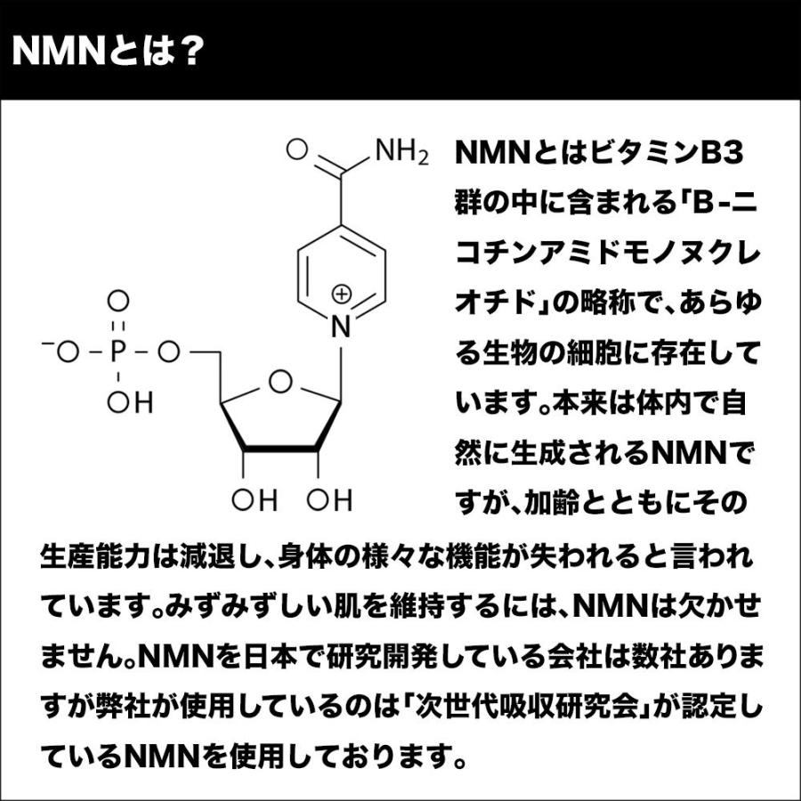 スパトリートメント NMN ストレッチiシート（60枚入・110ml）シート