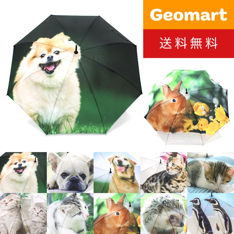 全面ねこプリント傘 全6種 送料無料 ポンジー生地 キャット 雨傘 婦人傘 ジャンプ傘 誕生日 プレゼント ジオマート 通販 Yahoo ショッピング