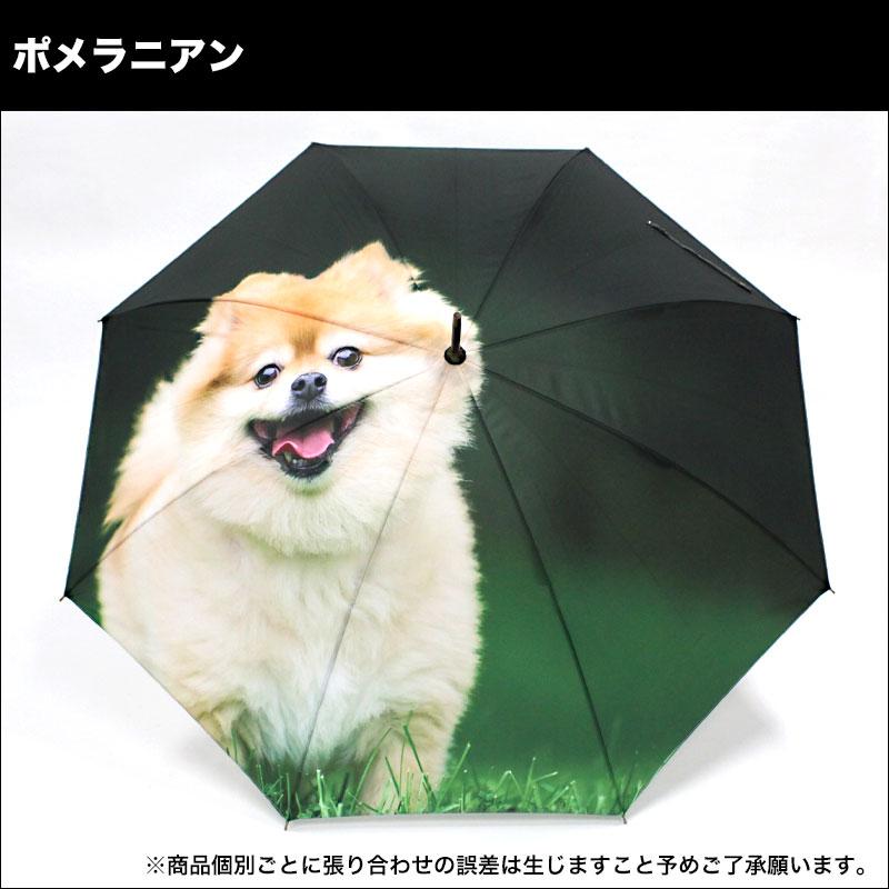 全面動物プリント傘 全10種 送料無料 ポンジー生地 キャット