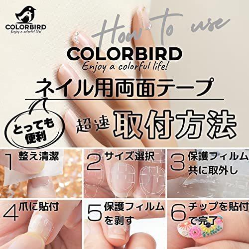 超新作 Colorbird ネイル用両面テープ ネイル接着剤 ネイルチップ 付け爪 ネイルグルー ネイルアート 粘着グミ ツケ爪粘着剤 10枚 Thisissesame Com