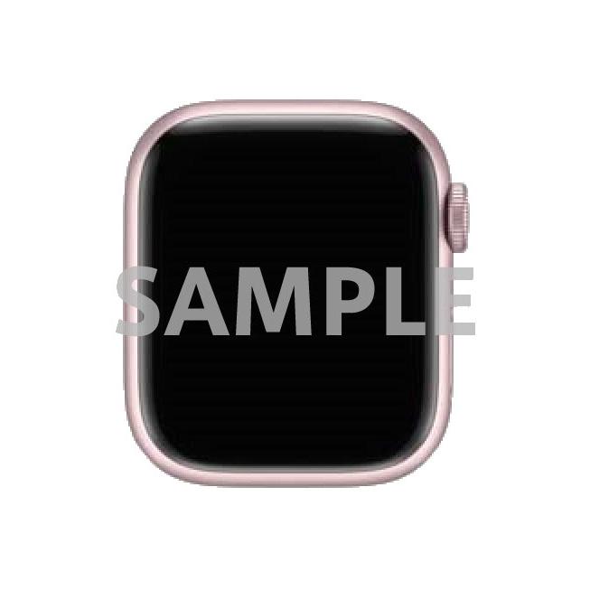 アップル Birth Of The Phoenix (1981)(Phoenix Software) & Global