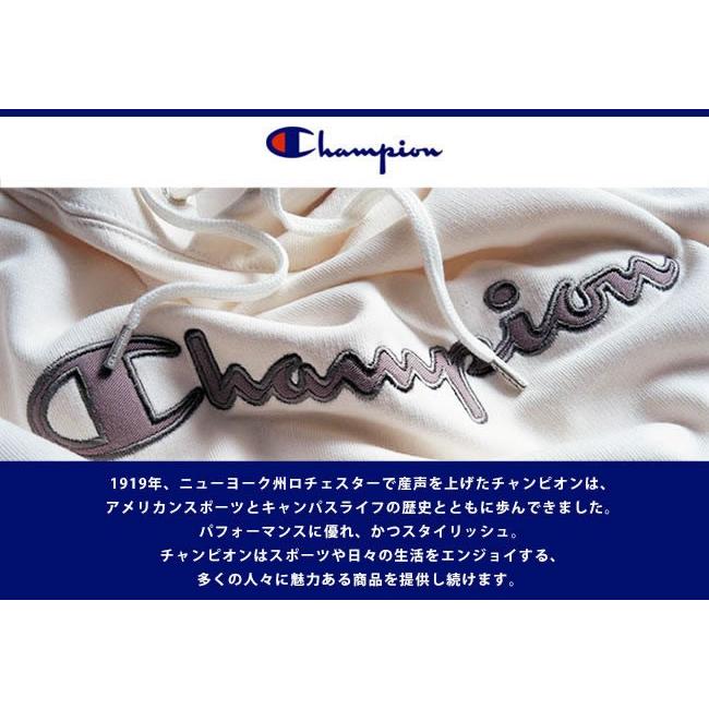 美品 クライミー ゼブラ柄 サイドリブ リバースウィーブ タイプ Champion × Pilgrim Surf+Supply『Reverse Weave Crew Neck Sweatshirt