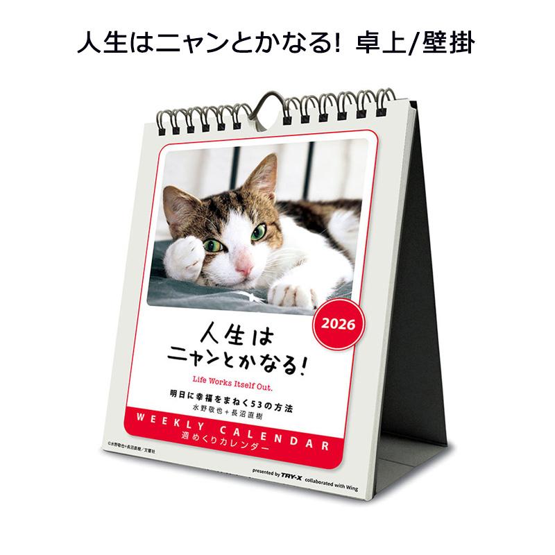 けい様　取り置き中　三毛猫ドラマー　流れ星流れるクローバー畑　Bathroom Amazon | [業界初82L大容量]Totoro ball ペットドライルーム ペット