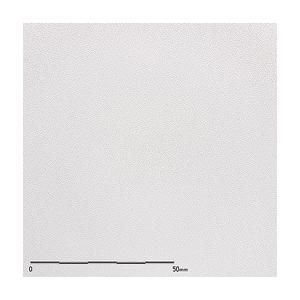 belbien ベルビアン　　TX-010 | belbien