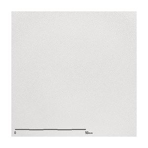 belbien ベルビアン　　TX-012 | belbien