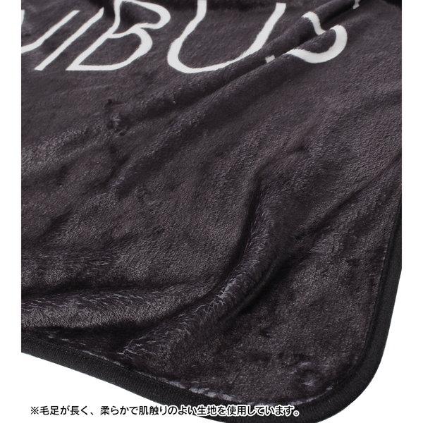 ローゼンメイデン モチーフ柄 ブランケット レッド |  | 03