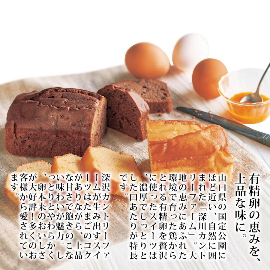 お取り寄せ グルメ ギフト 深川カントリーファーム 有精卵たっぷりチョコチップチーズケーキ 送料無料 Adl 景品ゲットクラブ 通販 Yahoo ショッピング