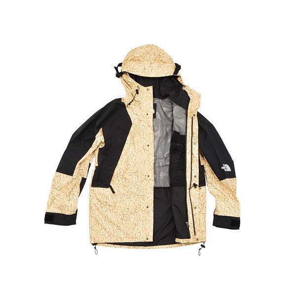 THE NORTH FACE 1994 SEASONAL RETRO MOUNTAIN LIGHT JACKET 【ザ 