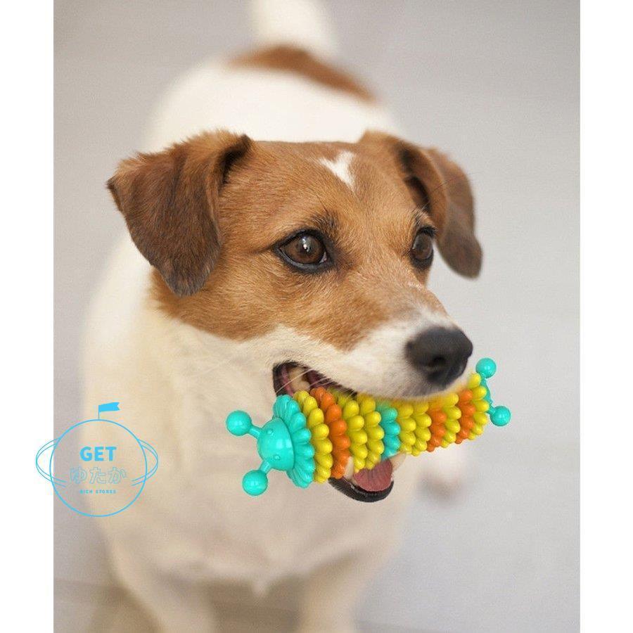 犬用おもちゃ ラバートイ 噛むおもちゃ ペット用トイ ペット用玩具 デンタル 歯磨き効果 遊び 楽しい ストレス解消 ペット用品 ペットグッズ わんち Qjsx3 Lxh Getゆたか 通販 Yahoo ショッピング
