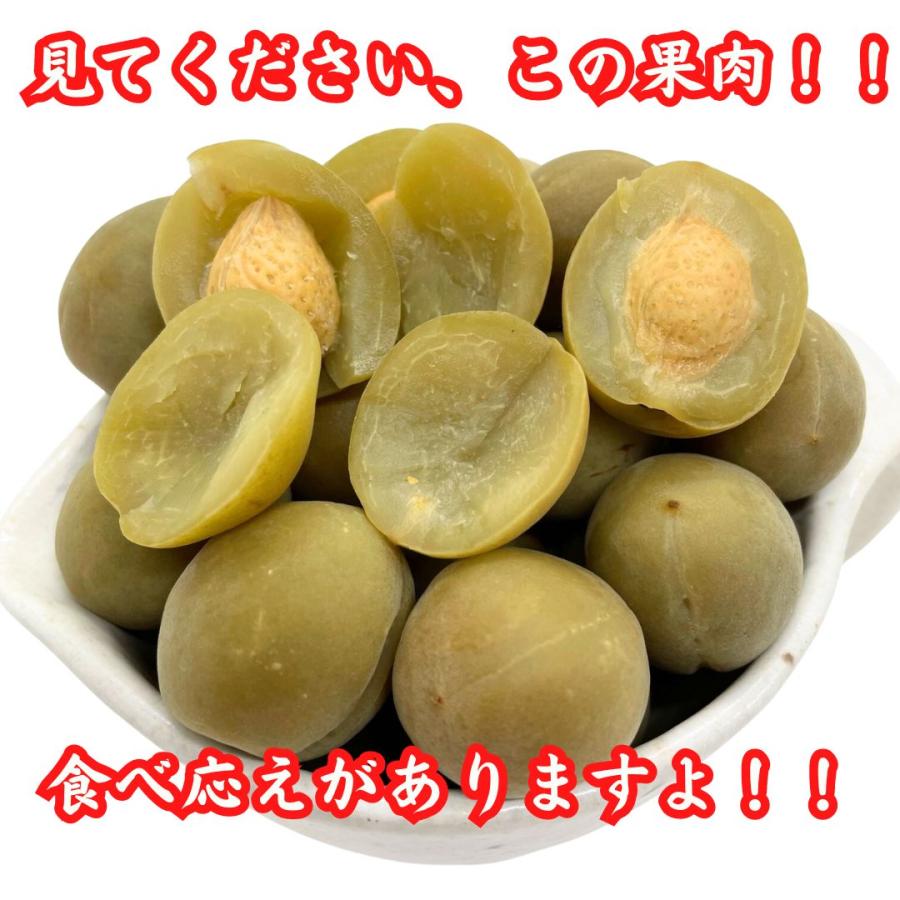 カリカリ梅 1kg 無着色 国産 群馬県産 かりんこ梅 肉厚 個包装 大容量