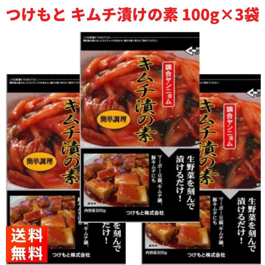 セットキムチ つけもと キムチ漬けの素 100g×3袋 : ごちそうさまストア - 通販
