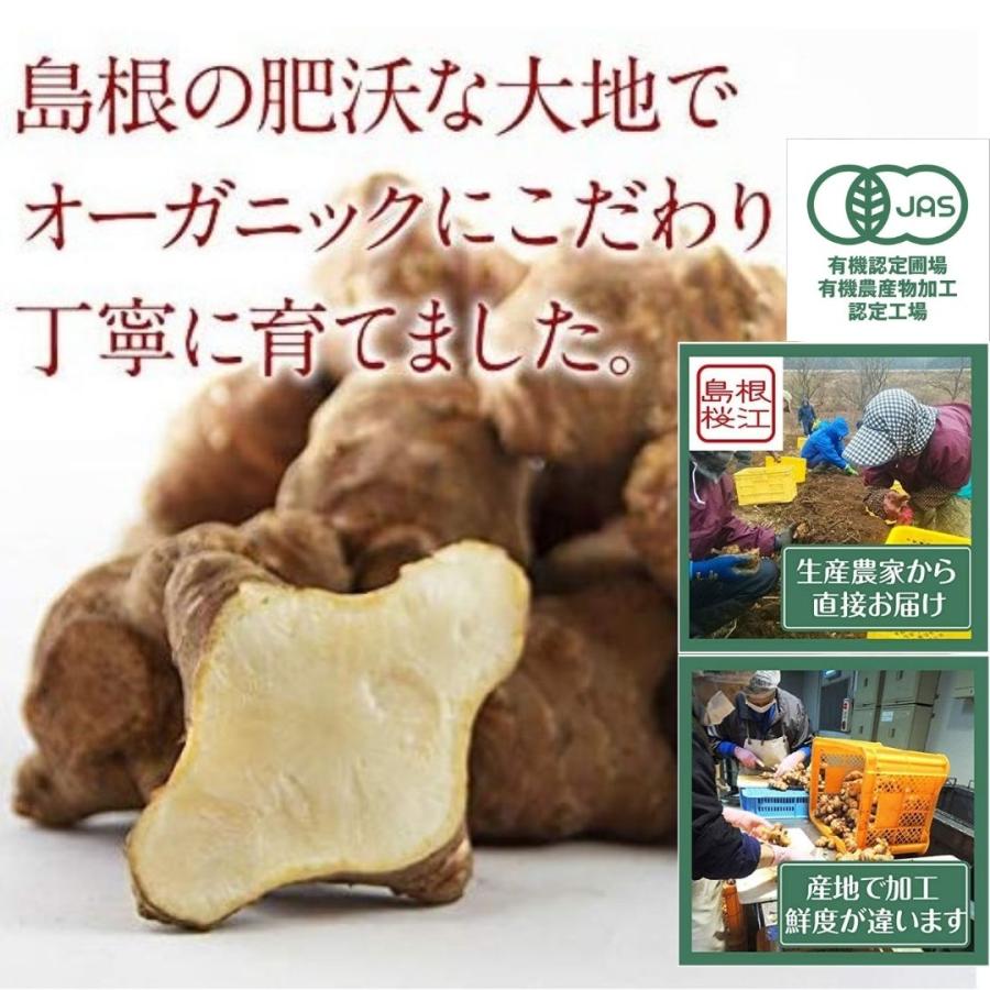 菊芋 桑茶 有機 無添加 無漂白 ティーバッグ 2.5g×30包 しまね有機
