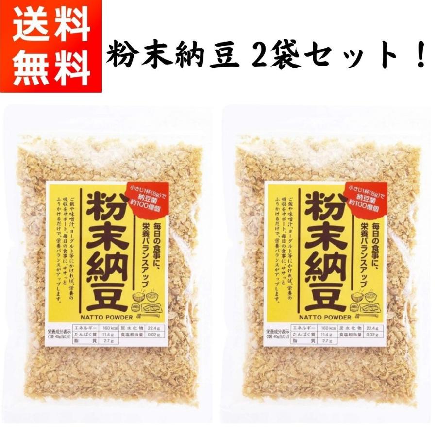 粉末納豆 40g×2袋 乾燥 ドライ 納豆菌 信州物産｜gfe-store