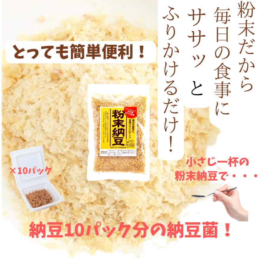 粉末納豆 40g×2袋 乾燥 ドライ 納豆菌 信州物産｜gfe-store｜03