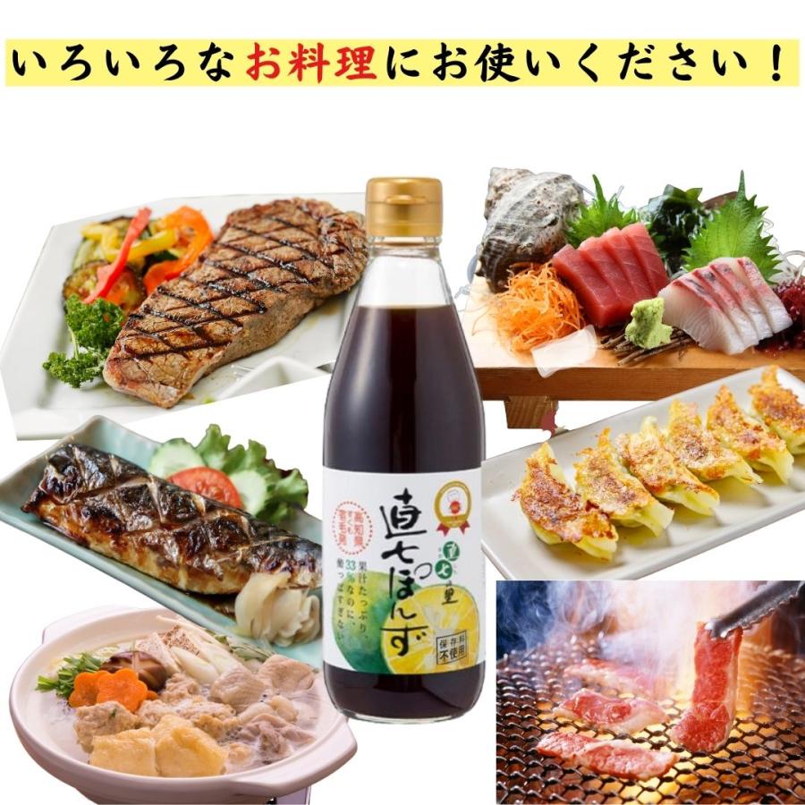 ぽんずページ 直七の里 直七ぽんず 360ml×5本 ポン酢 すだち まろやか味 高知
